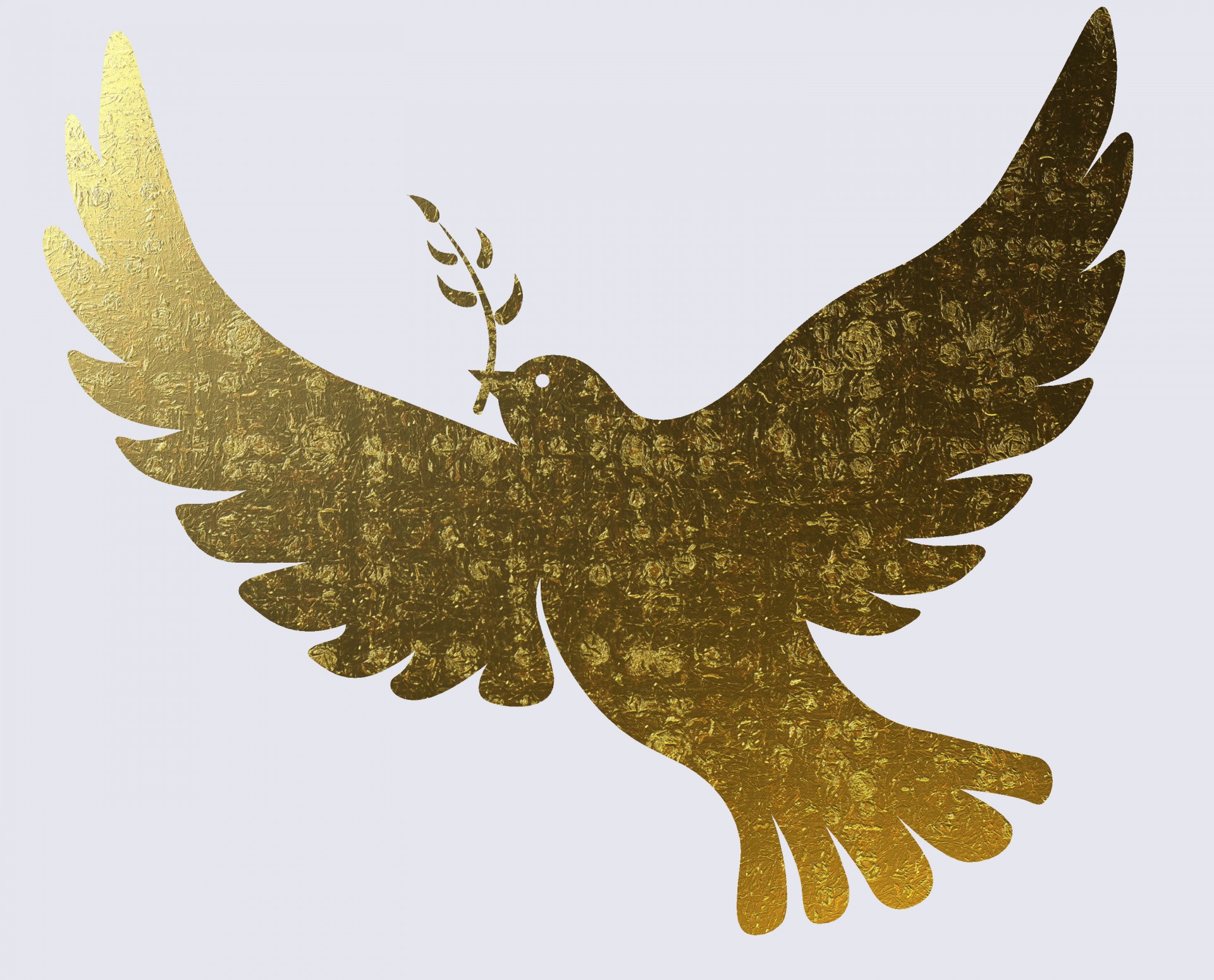 dove-bird-peace.jpg