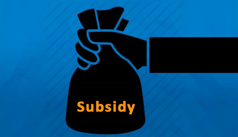 Subsidy.jpg