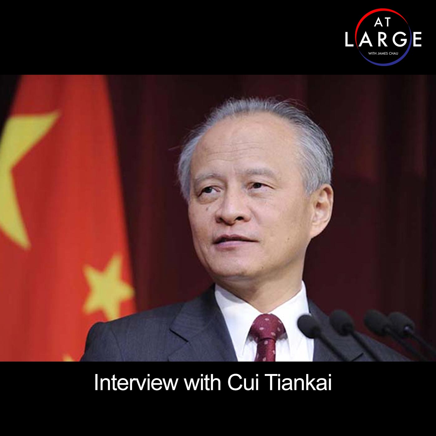Interview with Cui Tiankai